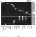 Fig. 17 - Column-based device for retrieval of rare cells based on size, and uses thereof