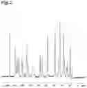 Fig. 03 - Hydrochloride salt of 2-((3R,4S)-1-(5-(4-chloro-3,5-difluorophenyl)-7-((2-fluoro-6-methylphenyl)(methyl)amino)pyrazolo[1,5-a]pyrimidine-2-carbonyl)-3-methoxypiperidin-4-yl) acetic acid and crystals thereof
