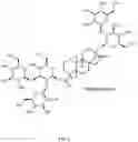 Fig. 02 - HIGH-PURITY STEVIOL GLYCOSIDES
