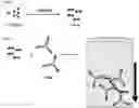 Fig. 01 - SELECTIVE ENRICHMENT OF ANTIBODIES