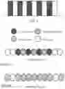 Fig. 02 - Co-assembly peptides, nanostructures, and methods of making and using the same