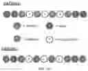 Fig. 09 - Co-assembly peptides, nanostructures, and methods of making and using the same