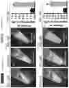 Fig. 45 - Co-assembly peptides, nanostructures, and methods of making and using the same
