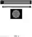 Fig. 05 - Chimeric insect-specific flaviviruses
