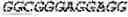Fig. 167 - Recombinant Herpes Simplex Virus-2 expressing glycoprotein B and D antigens