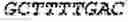 Fig. 197 - Recombinant Herpes Simplex Virus-2 expressing glycoprotein B and D antigens