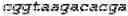 Fig. 331 - Recombinant Herpes Simplex Virus-2 expressing glycoprotein B and D antigens