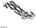 Fig. 02 - GLYPICAN EPITOPES AND USES THEREOF