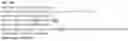 Fig. 41 - T-cell modulatory multimeric polypeptides and methods of use thereof