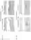 Fig. 35 - DLL3 targeting chimeric antigen receptors and binding agents