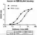 Fig. 01 - Antibodies binding 4-1BB and uses thereof