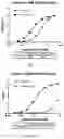 Fig. 02 - Antibodies binding 4-1BB and uses thereof