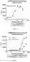 Fig. 07 - Antibodies binding 4-1BB and uses thereof