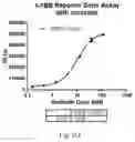 Fig. 08 - Antibodies binding 4-1BB and uses thereof