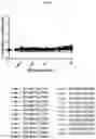 Fig. 09 - Multi-specific binding proteins for cancer treatment