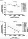 Fig. 08 - METHODS FOR TREATING CD73HI TUMORS