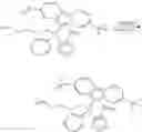 Fig. 08 - Borate-activated metallocene catalysts