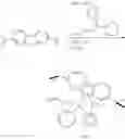 Fig. 13 - Borate-activated metallocene catalysts