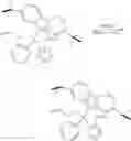 Fig. 14 - Borate-activated metallocene catalysts