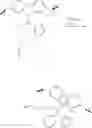 Fig. 23 - Borate-activated metallocene catalysts