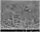 Fig. 01 - Method of producing porous body