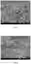 Fig. 04 - Method of producing porous body