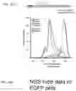 Fig. 49 - FUNCTIONAL GENOMICS USING CRISPR-CAS SYSTEMS, COMPOSITIONS, METHODS, SCREENS AND APPLICATIONS THEREOF