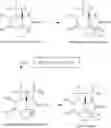 Fig. 49 - Processes to make neosaxitoxin and analogues thereof