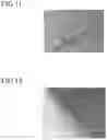Fig. 09 - THERMO-SHAPEABLE FABRICS AND ARTICLES MADE THEREFROM