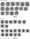 Fig. 04 - METHOD AND COMPOSITION FOR STAINING AND SAMPLE PROCESSING