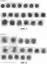 Fig. 05 - METHOD AND COMPOSITION FOR STAINING AND SAMPLE PROCESSING