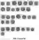 Fig. 08 - METHOD AND COMPOSITION FOR STAINING AND SAMPLE PROCESSING