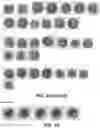 Fig. 09 - METHOD AND COMPOSITION FOR STAINING AND SAMPLE PROCESSING