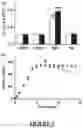 Fig. 05 - Cell-Based Biosensor for Early Alzheimer's Disease Detection