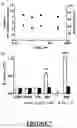 Fig. 08 - Cell-Based Biosensor for Early Alzheimer's Disease Detection