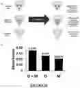 Fig. 11 - Cell-Based Biosensor for Early Alzheimer's Disease Detection