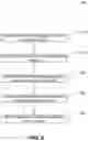 Fig. 09 - Formation and calibration of nanopore sequencing cells