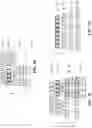 Fig. 10 - METHODS AND SYSTEMS FOR TIME-BOUNDING EXECUTION OF COMPUTING WORKFLOWS