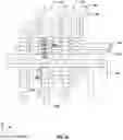 Fig. 16 - Spacial arrangments of and critical dimensions for bit line contacts of three-dimensional phase-change memory devices