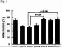 Fig. 02 - Agent for preventing or improving decline in brain function