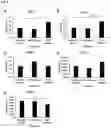 Fig. 09 - PROBIOTIC COMPOSITIONS AND USES THEREOF