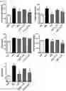 Fig. 08 - Composition for preventing or treating obesity comprising natural mixture extracts