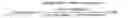 Fig. 02 - Antibody binding specifically to ECL-2 of claudin 3, fragment thereof, and use thereof