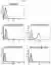 Fig. 07 - Antibody binding specifically to ECL-2 of claudin 3, fragment thereof, and use thereof