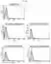 Fig. 08 - Antibody binding specifically to ECL-2 of claudin 3, fragment thereof, and use thereof