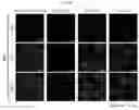 Fig. 11 - Antibody binding specifically to ECL-2 of claudin 3, fragment thereof, and use thereof