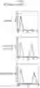 Fig. 13 - Antibody binding specifically to ECL-2 of claudin 3, fragment thereof, and use thereof