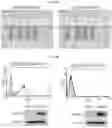 Fig. 15 - Antibody binding specifically to ECL-2 of claudin 3, fragment thereof, and use thereof