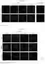 Fig. 16 - Antibody binding specifically to ECL-2 of claudin 3, fragment thereof, and use thereof
