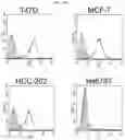 Fig. 17 - Antibody binding specifically to ECL-2 of claudin 3, fragment thereof, and use thereof